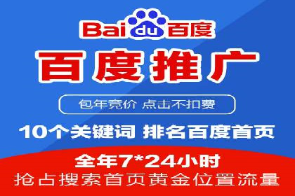 百度推广的成功案例：从零到一的突破